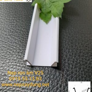 Nệp Ron Âm - Ảnh 05