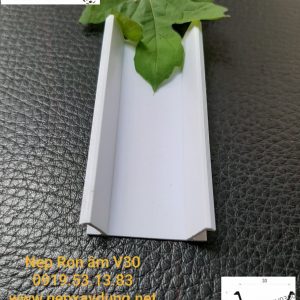 Nệp Ron Âm - Ảnh 06