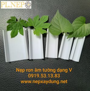 Nệp Ron Âm - Ảnh Đại diện sản phẩm